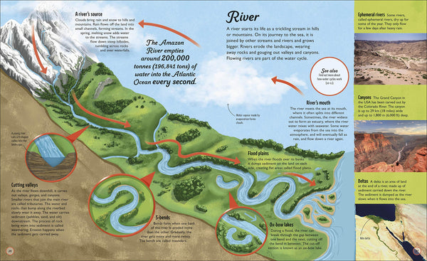 Water Cycles