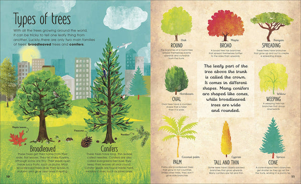 The Magic and Mystery of Trees