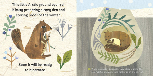 Hello, World! Arctic Animals