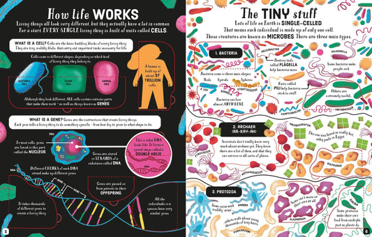Usborne Lift-the-Flap Biology