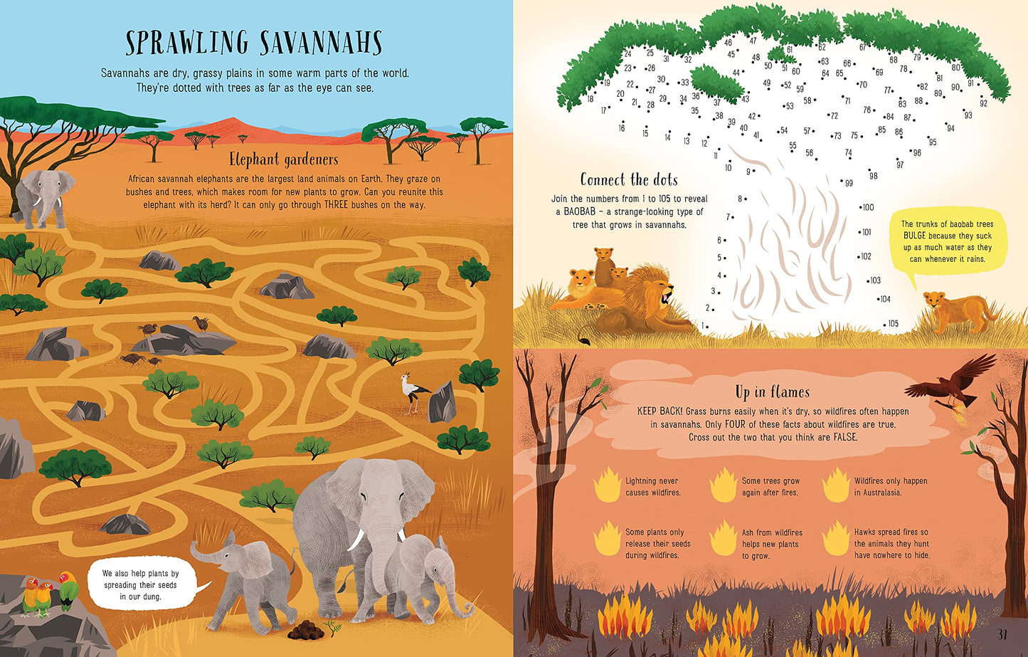 Usborne Planet Earth Activity Book