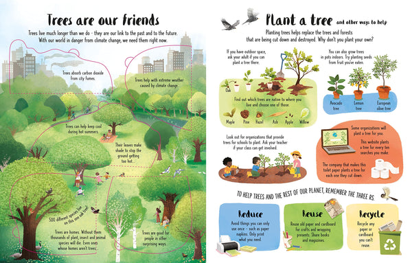 Usborne Lift-the-Flap Trees
