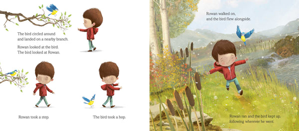 The River: A Powerful Book about Feelings