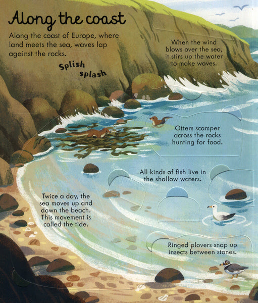 Usborne Look Inside Seas and Oceans