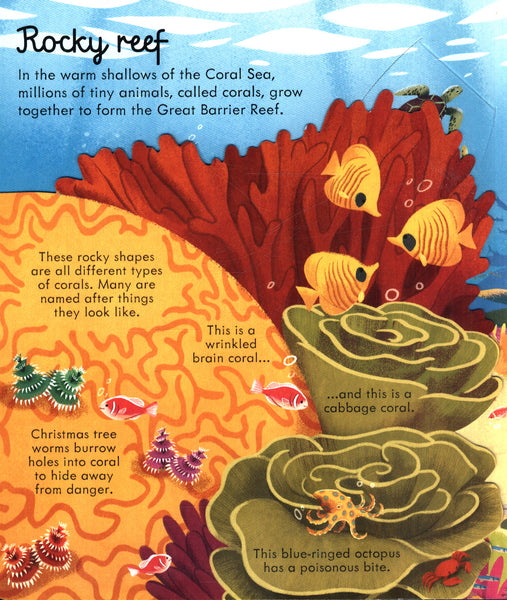 Usborne Look Inside Seas and Oceans