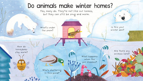 Usborne Lift-the-Flap First Questions and Answers: Where Do Animals Go In Winter?