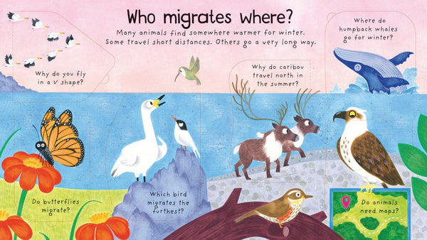 Usborne Lift-the-Flap First Questions and Answers: Where Do Animals Go In Winter?