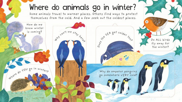 Usborne Lift-the-Flap First Questions and Answers: Where Do Animals Go In Winter?
