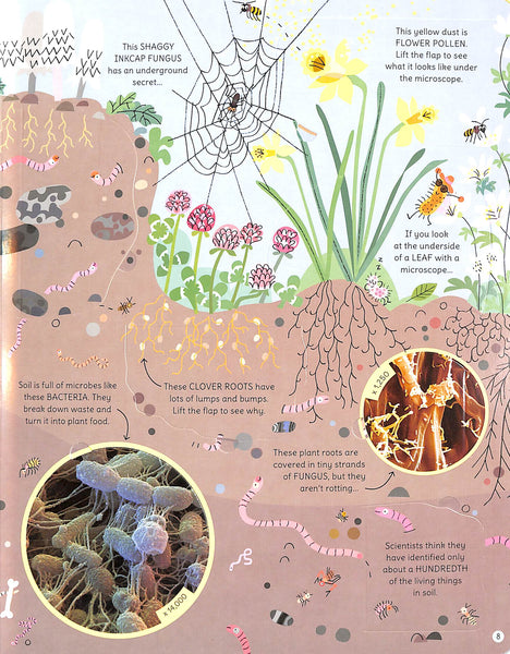 Usborne See Inside the Microscopic World