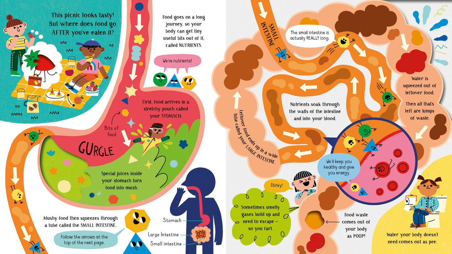 Usborne Step Inside Science Your Body