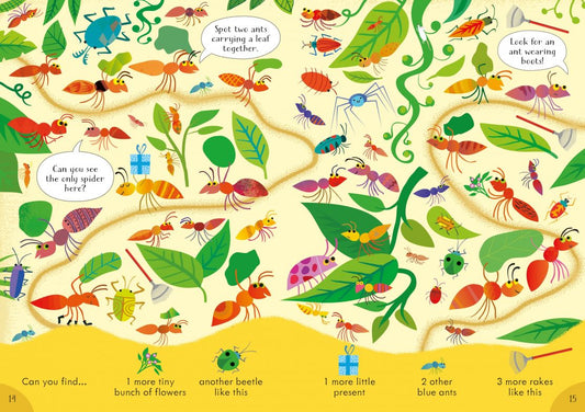 Usborne Look and Find Puzzles Bugs
