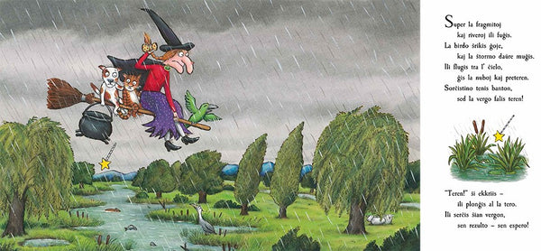Room on the Broom - (Board Book)