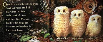 Owl Babies