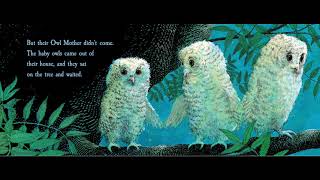 Owl Babies
