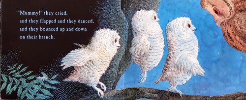 Owl Babies