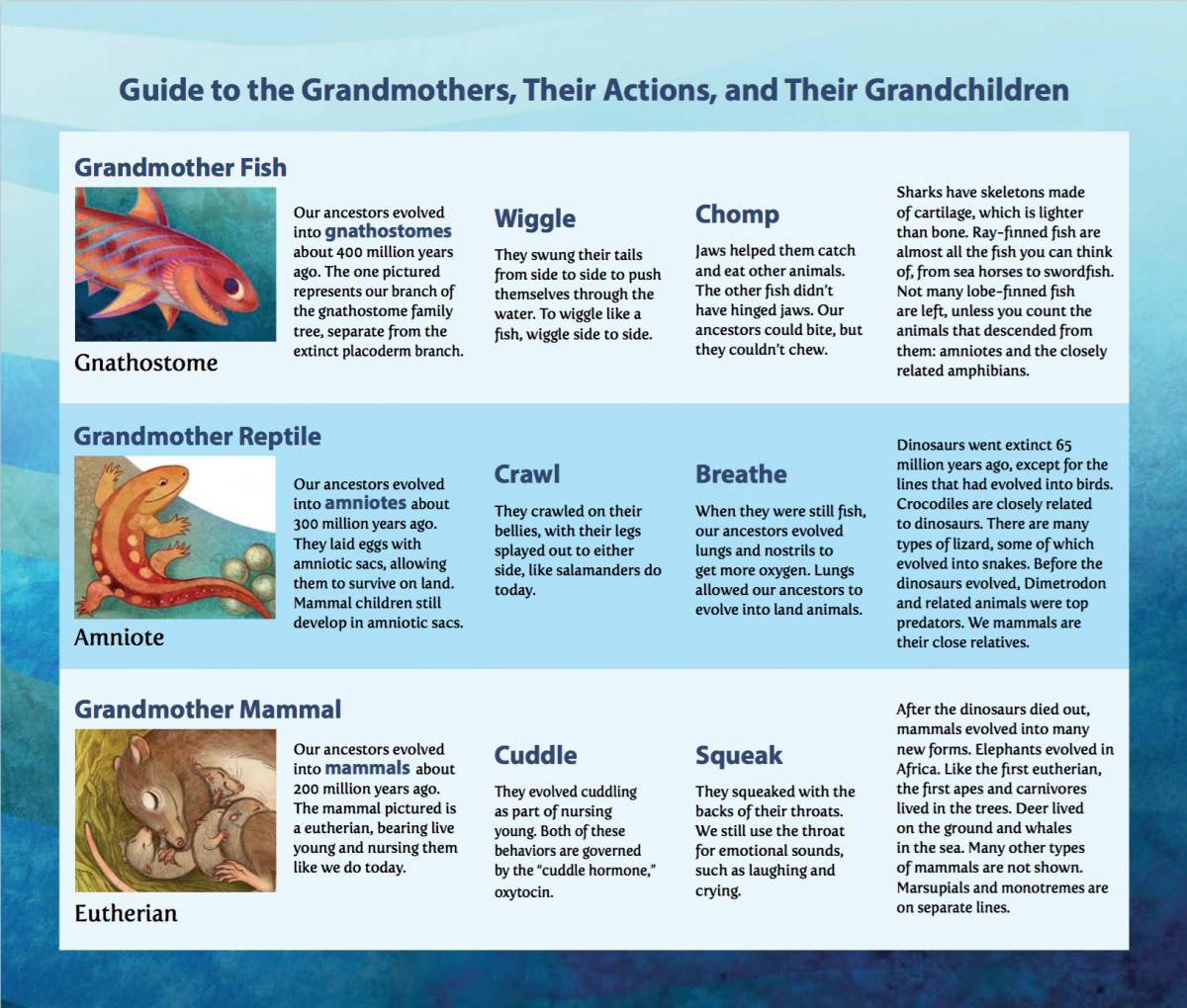 Grandmother Fish: A Child's First Book of Evolution
