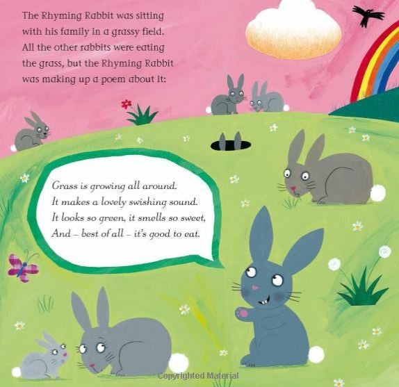 The Rhyming Rabbit - Julia Donaldson